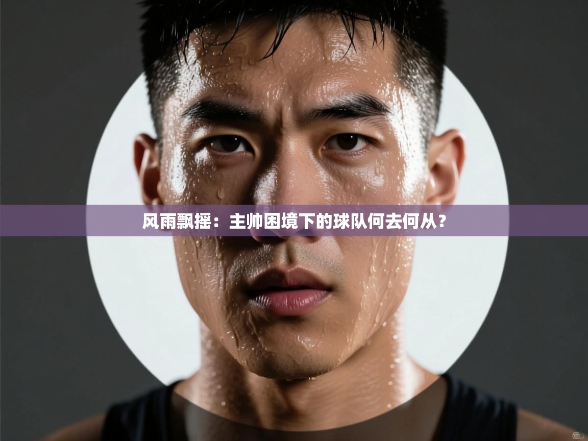 风雨飘摇：主帅困境下的球队何去何从？  第2张