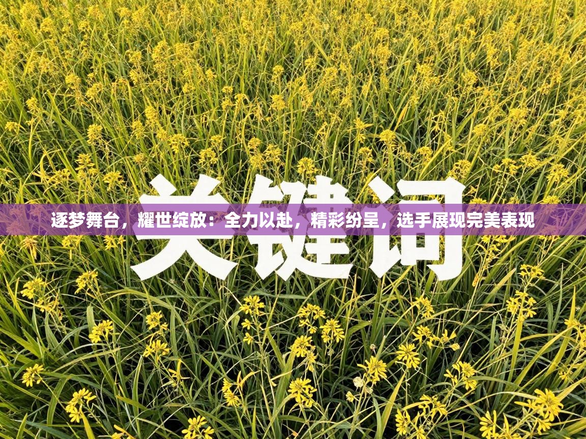 逐梦舞台，耀世绽放：全力以赴，精彩纷呈，选手展现完美表现  第2张